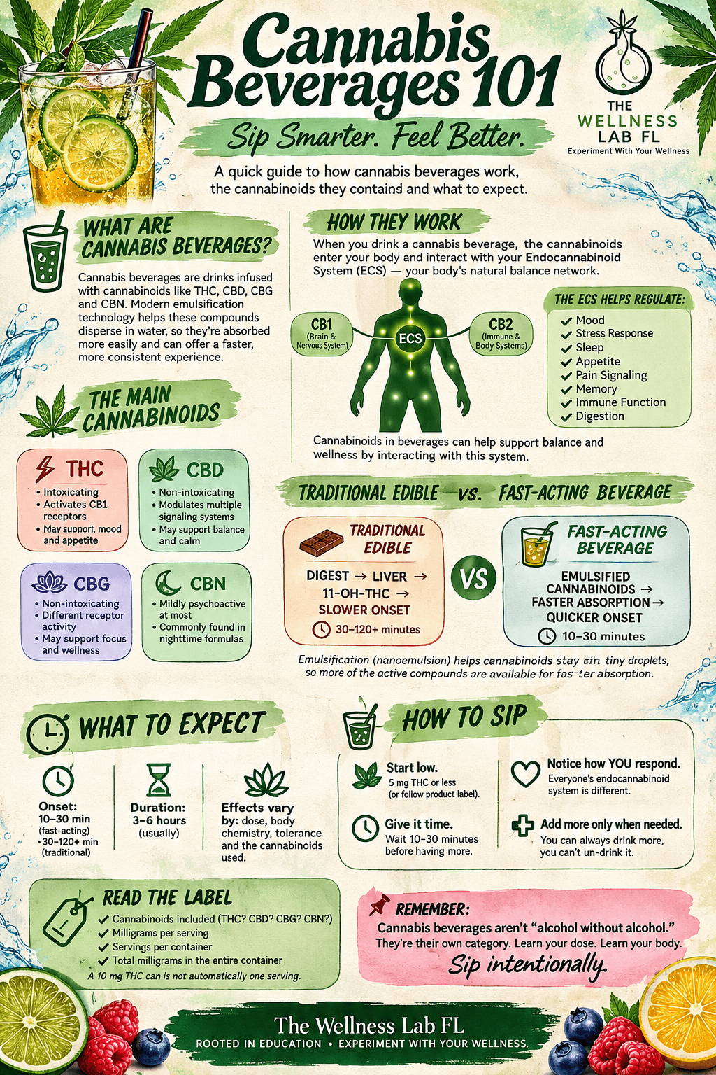 Cannabis Beverages 101 guide explaining cannabinoids, onset, duration, labeling, and mindful consumption