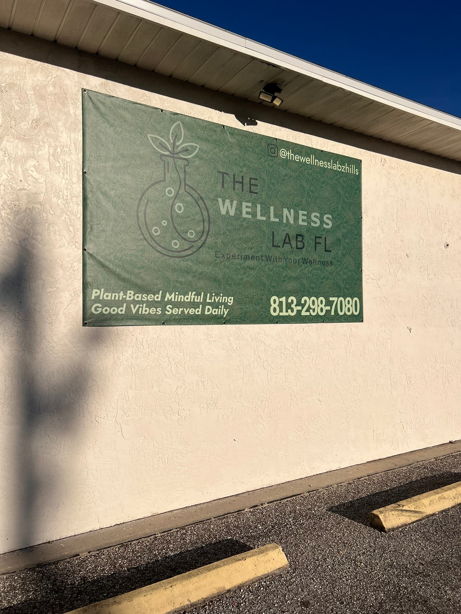 The Wellness Lab